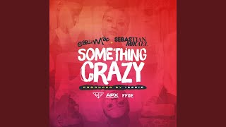 Something Crazy (feat. Sebastian Mikael)