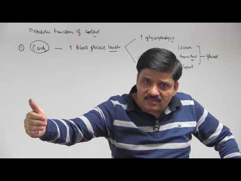 #13   Adrenal Cortex  Cortisol   Chemical Coordination & Integration   Dr  NK Sharma NEET AIIMS