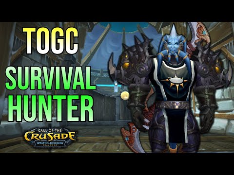 [7/2/2023] ToGC 25 Survival Hunter WotLK