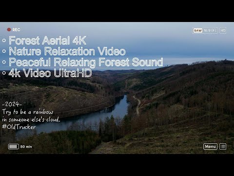 Forest Aerial 4K • Nature Relaxation Video • Peaceful Relaxing Forest Sound • 4k Video UltraHD