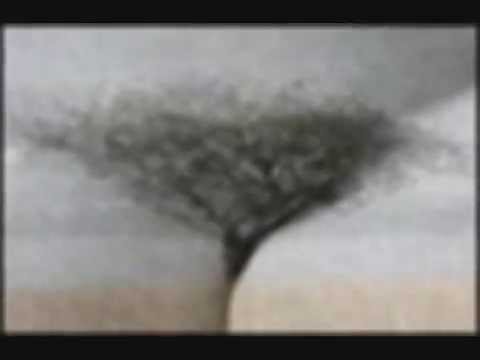 Athur H & Nicolas Repac - L'arbre -