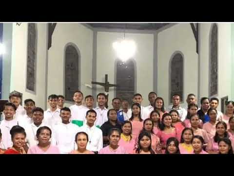 Medley Natal//Lagu Post Communio Masa Natal - P. Piet P. Neo, SVD🎶Koor Lingkungan St. Agustinu🎶