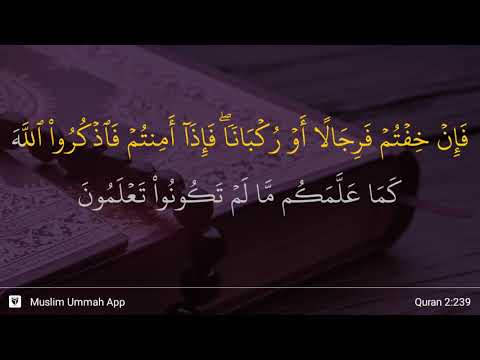 Al-Baqarah ayat 239