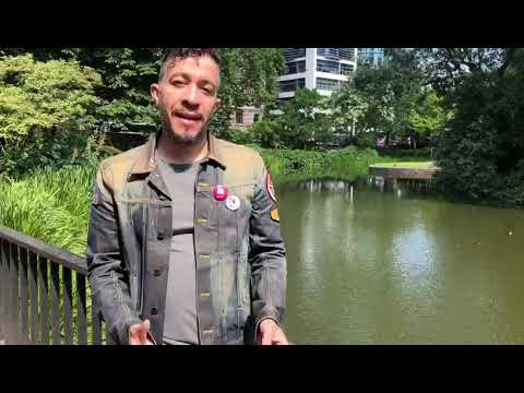 Jean Wyllis grava vídeo com saudação ao Camarote Solidário