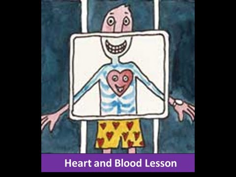 Blood Circulatory System -Human Body-Class 7,Class 8,Class 9,class 6 students