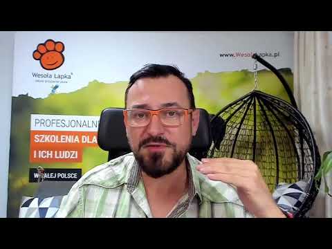 Trzy kamienie milowe w pracy z agresywnym psem