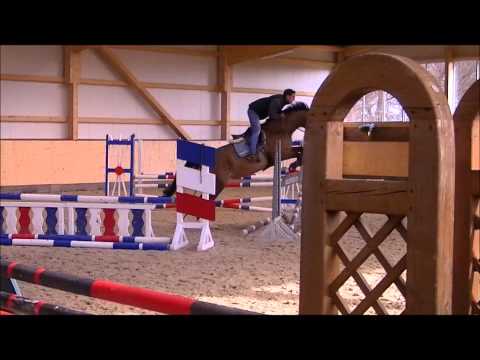 6yr Casall Contender