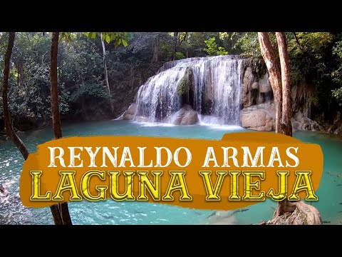 Laguna Vieja - Reynaldo Armas | Música Llanera | Video Letra