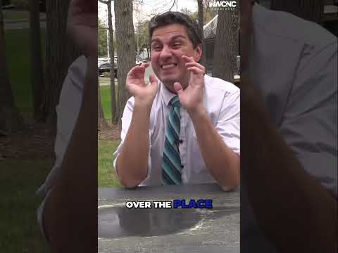 Pollen Count Ct Today