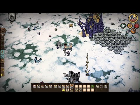 Console DST Bee Queen kill with Tenticle Trap