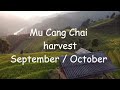 Jak a kam do Vietnamu