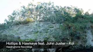 Hotlips &  Hawkeye - Koi (feat. John Juster)