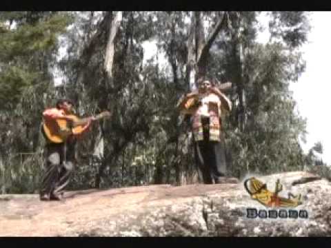 Miguel Angel - Arvejas T'ikita