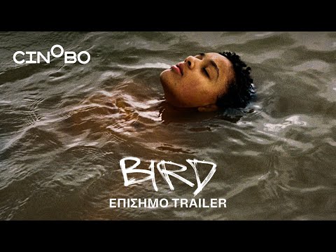 Bird Trailer | GR Subs | Cinobo
