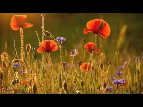 DaOne - i've changed my mind (ft Karina & Aldo )