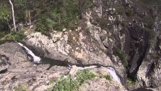 preview picture of video 'Cedar Creek Falls Mt Tamborine Queensland Australia'