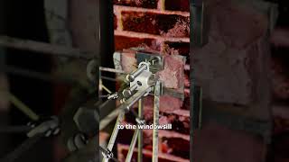 The Bizarre Baby Cage Trend 😲