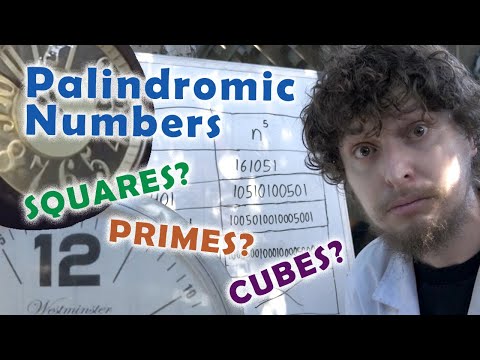 The Perplexing Patterns of Palindromic Numbers
