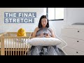 The Final Stretch | August Vlog