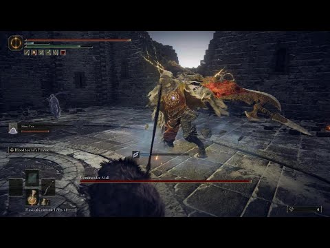 How to EASILY kill Commander Niall using Mimic Ashes in Elden Ring
