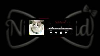 Download lagu DJ MUTIARA - IPANK Viral Tiktok || Remix NisaVoid mp3 Download lagu DJ MUTIARA - IPANK Viral Tiktok || Remix NisaVoid mp3