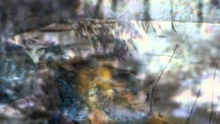 In the Cool, Cool, Cool, of the Evening - Sung by Bette Midler