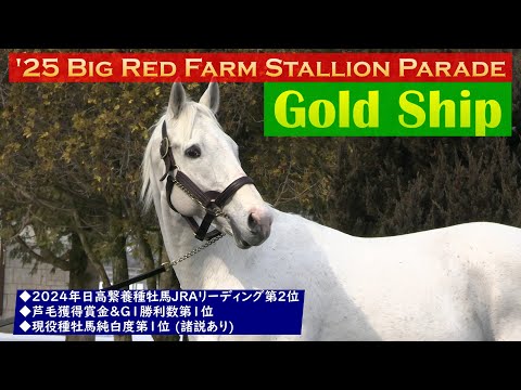 前掻きで少し自己主張するゴールドシップさん（字幕付）2025年版