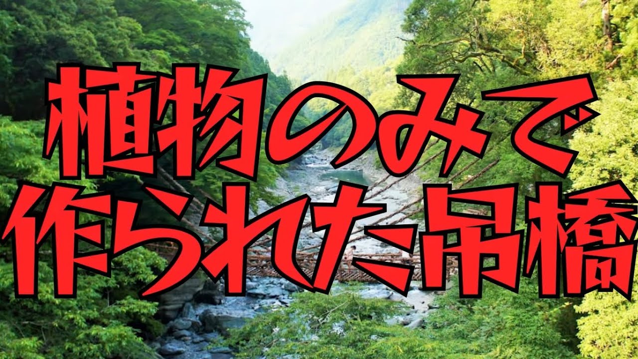 03 【世界三大秘境】『祖谷のかずら橋』は実在した!？