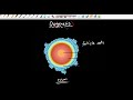 HUMAN REPRODUCTIVE SYSTEM FEMALE ISIZULU