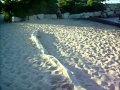 DuffyCentral LostShellVideo Walking On The Beach