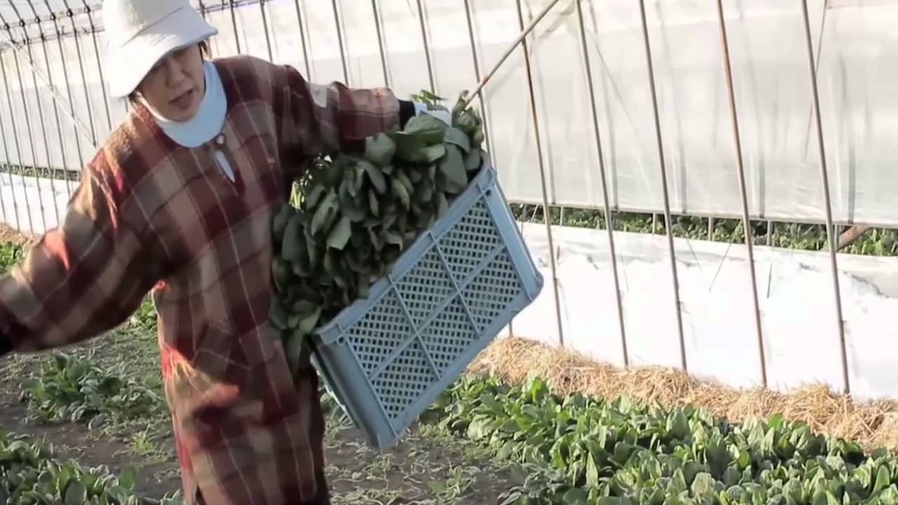 Mitsuaki Saito, Yabuki-machi, 2012