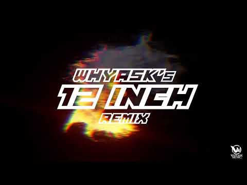 Niels De Vries - 12 Inch (WhyAsk! Remix)