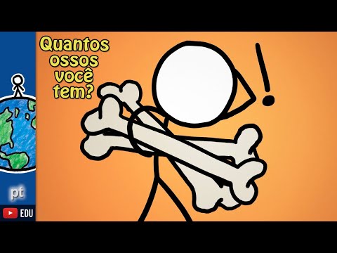 Você tem mais ossos do que imagina! | Minuto da Terra