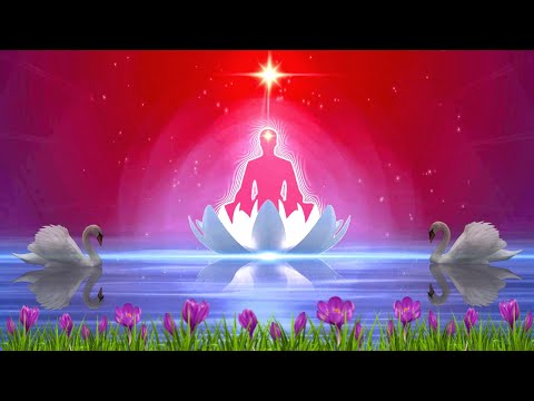 Rajayogivai Tapasshaktito - Song (Bk Divine Song)