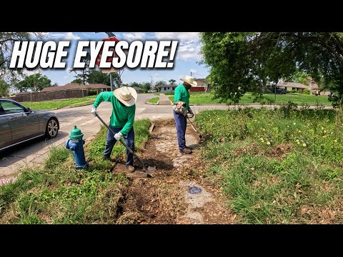 We Took on the Worst Yard in the Neighborhood — And Everyone Noticed!