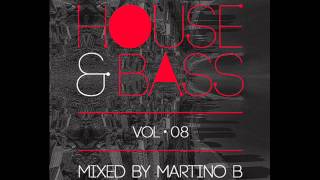 HOUSE & BASS ● Vol 08 ● mixed by Martino B @ 01-05-2014