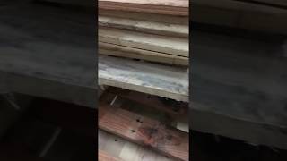 Pallet original appearance