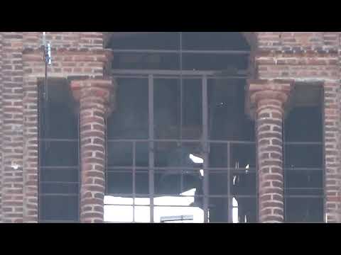 Le campane di Carmagnola (TO) Collegiata dei Santi Pietro e Paolo