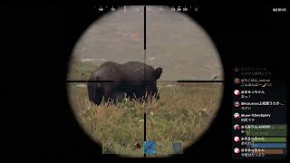 ニコニコ老人会RUST 練習枠 20260801 25時過ぎ
