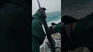 SOUND ON! ドラグ音は心地よい。