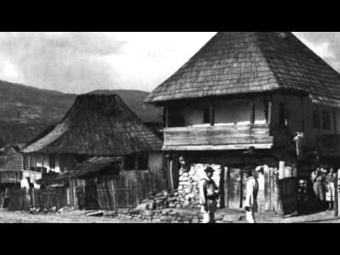 Traian Lascut Fagarasanu - Doina din banat