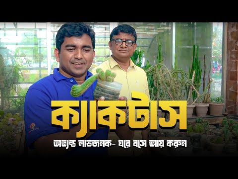 ক্যাকটাস( Cactus): অত্যন্ত লাভজনক- ঘরে বসে আয় করুন(পর্ব-০১)