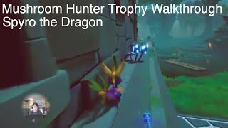 Spyro the Dragon - Mushroom Hunter Trophy Achievement Guide - PS4, Xbox One