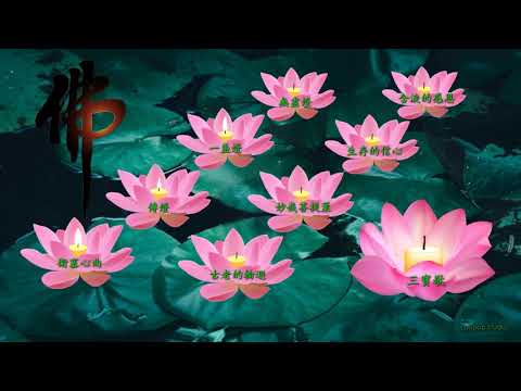 超好听的昔日佛曲 (歌词字幕版)