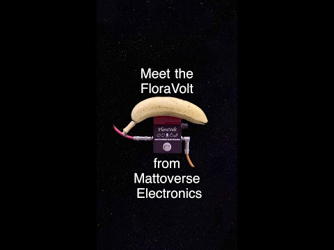 Meet the FloraVolt - A fruit/vegetable powered effects pedal from Mattoverse Electronics