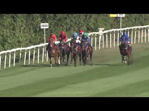 2020.09.20. 07. futam - KOZMA FERENC EMLÉKVERSENY (HUN Gd-2) (NGL-V.)