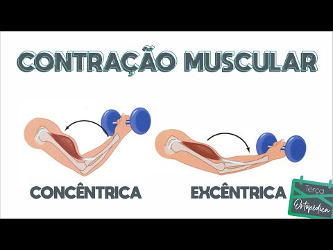 Concentric and eccentric muscle contraction (Dr. Eric Curi - Shoulder and Elbow Orthopedist)
