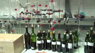 preview picture of video 'Rioja: Land of a Thousand Wines'