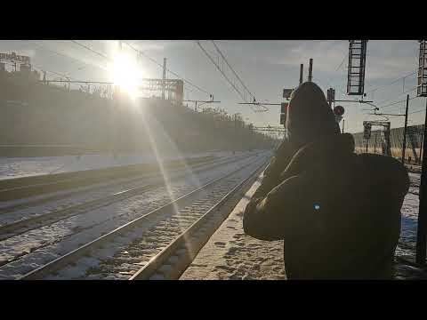 Treni a Torino Stura