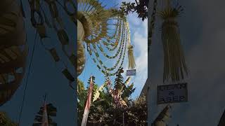 Download lagu janur kuning ciri tandanya ada yang nikah#shorts#viral#yutubeshorts mp3 Download lagu janur kuning ciri tandanya ada yang nikah#shorts#viral#yutubeshorts mp3